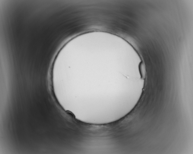 X0000096161056200802151411