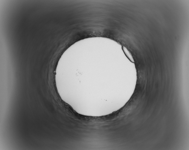 X0000096161057200802151410