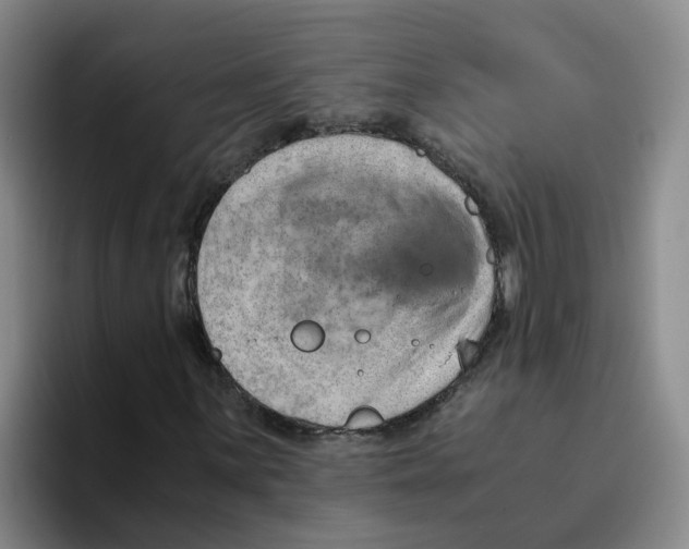 X0000096161059200802151410