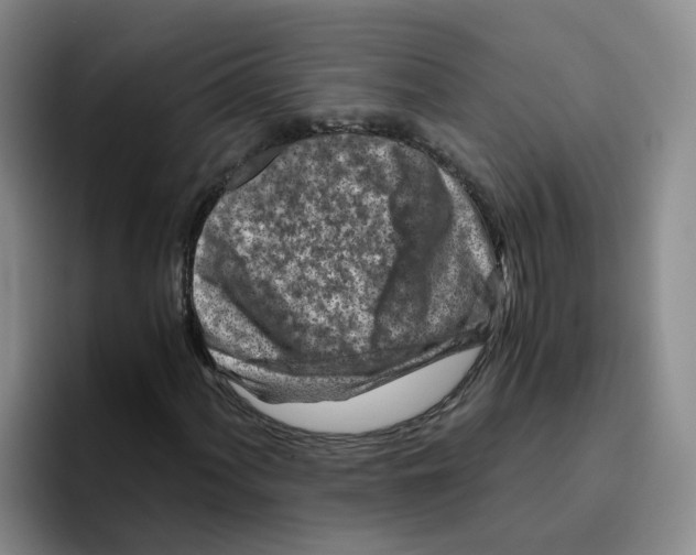 X0000096161060200802151410