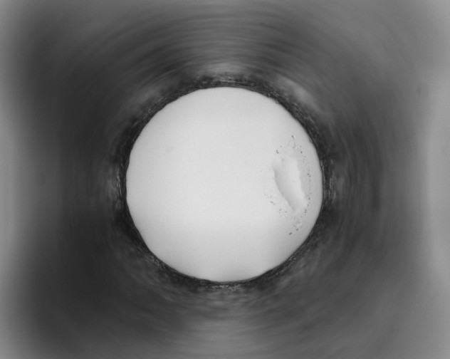 X0000096161062200802151410