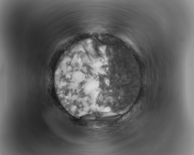 X0000096161063200802151410