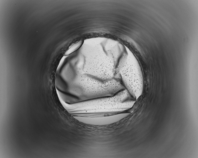 X0000096161064200802151410