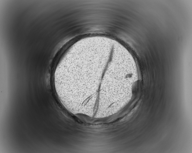 X0000096161066200802151410