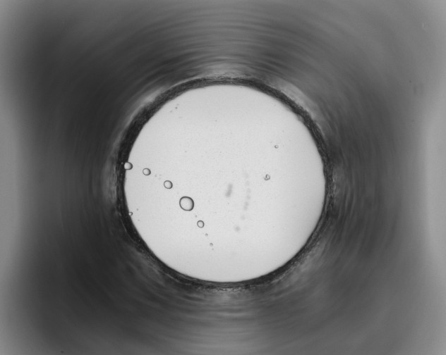 X0000096161067200802151410