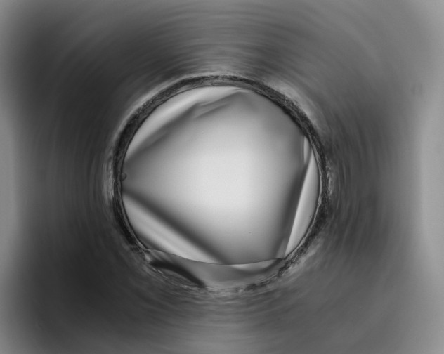 X0000096161069200802151410