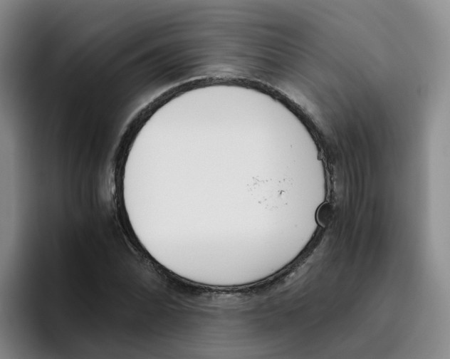 X0000096161070200802151410