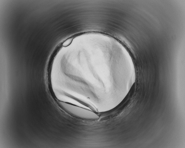 X0000096161072200802151410