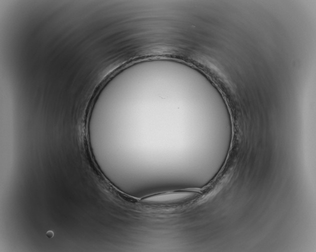 X0000096161073200802151410