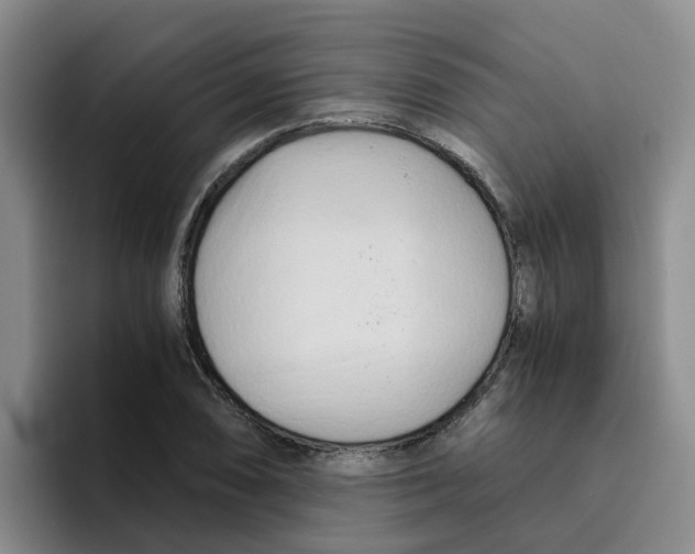 X0000096161074200802151410