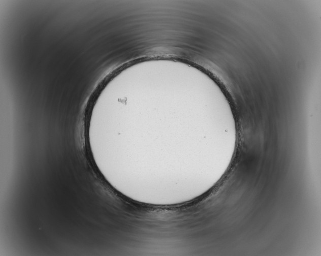 X0000096161075200802151410