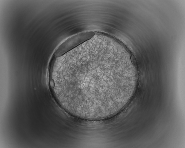 X0000096161076200802151410
