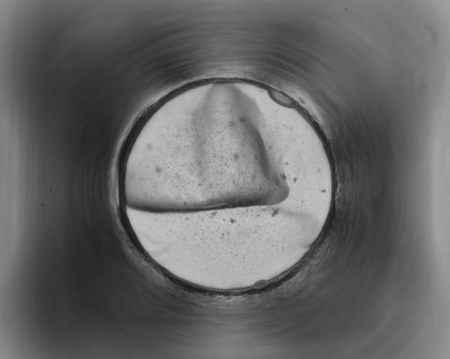 X0000096161080200802151410