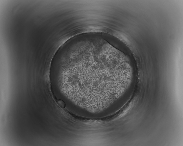 X0000096161081200802151410