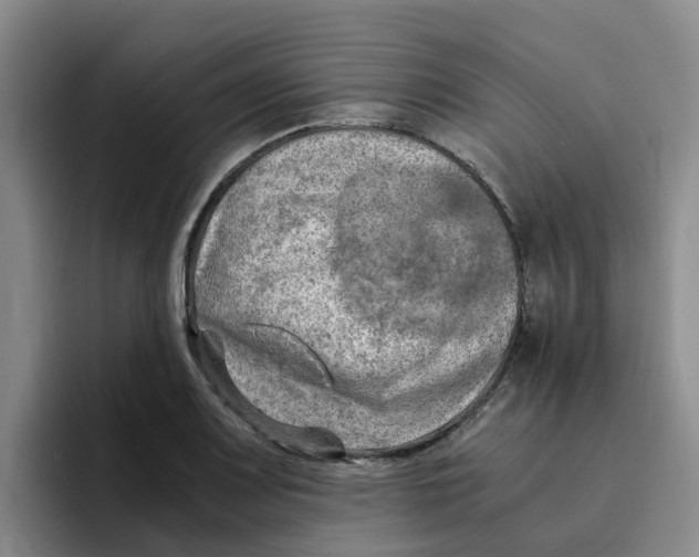 X0000096161083200802151410