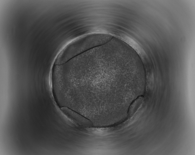 X0000096161084200802151410