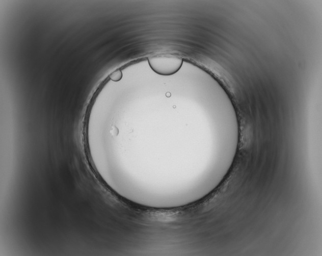 X0000096161086200802151410