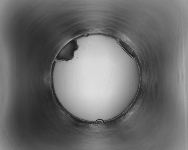 X0000096161089200802151410