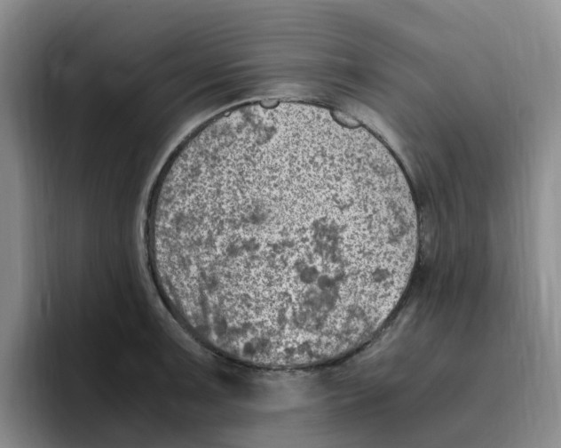 X0000096161091200802151410