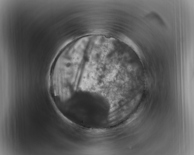 X0000096161095200802151410