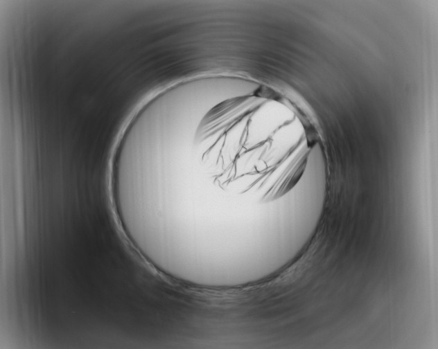 X0000096161096200802151410