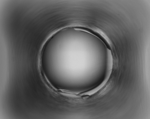 X0000096161101200802151410