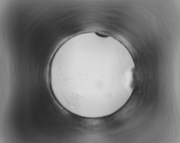 X0000096161103200802151410