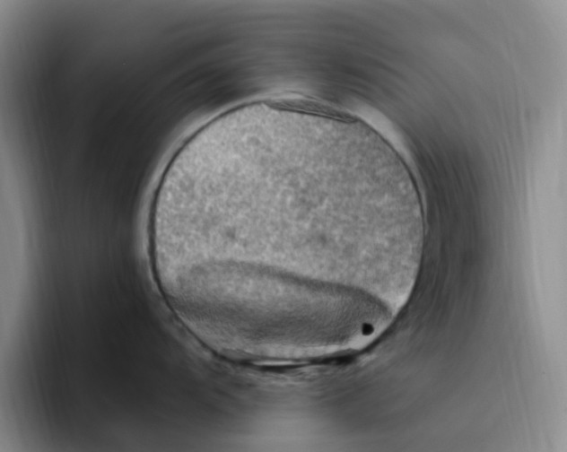 X0000096161104200802151410