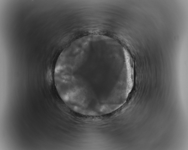 X0000096161106200802151409