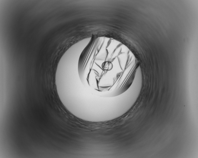 X0000096161108200802151409