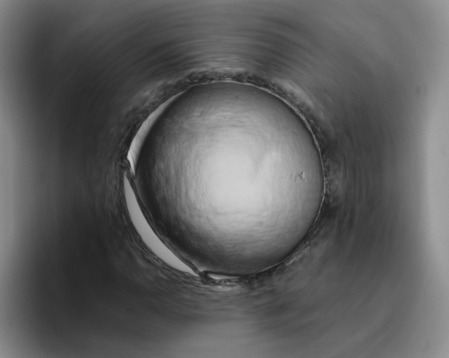 X0000096161110200802151409