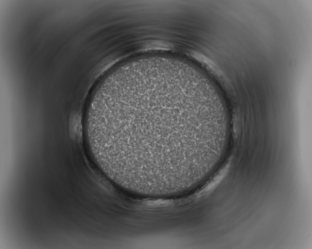 X0000096161113200802151409