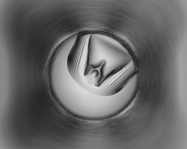 X0000096161114200802151409