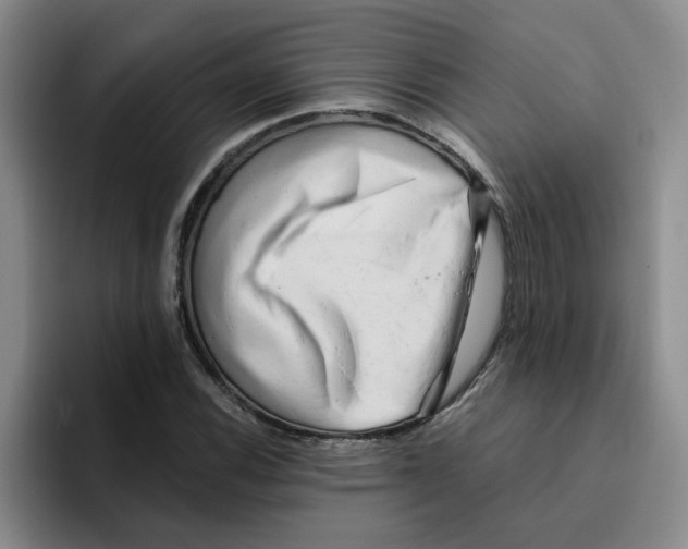 X0000096161116200802151409