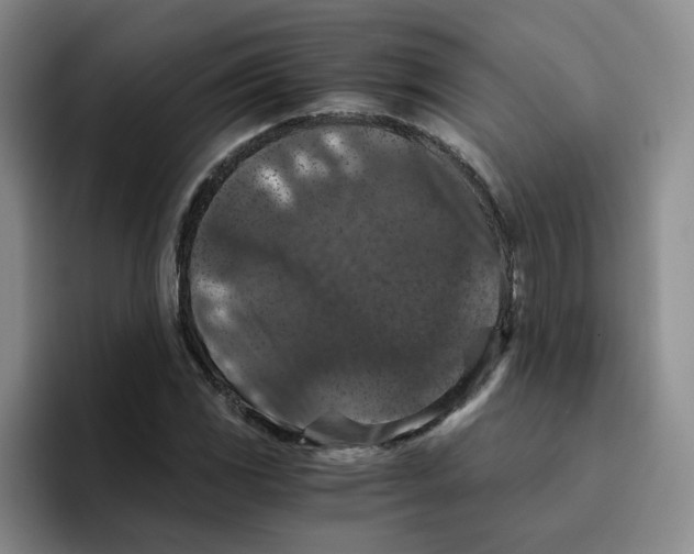 X0000096161117200802151409