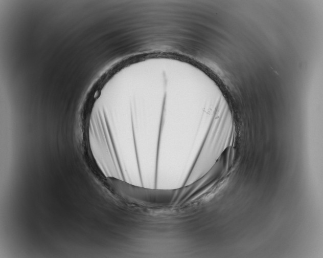 X0000096161118200802151409