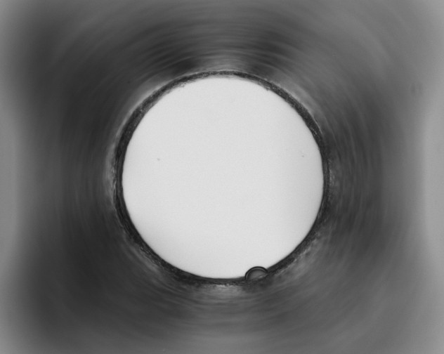 X0000096161119200802151409