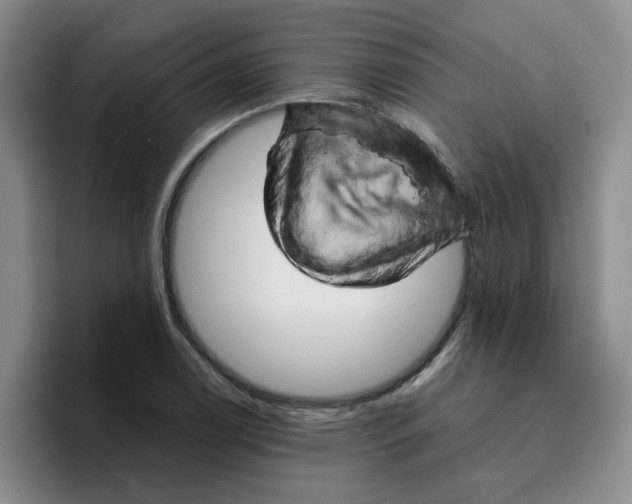 X0000096161122200802151409