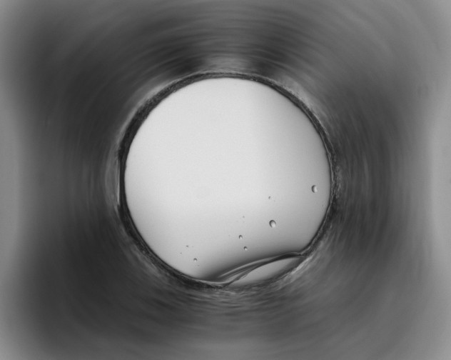 X0000096161123200802151409