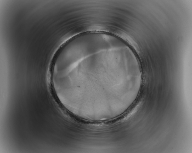 X0000096161125200802151409