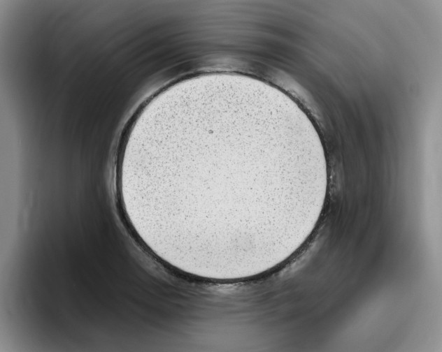 X0000096161130200802151409