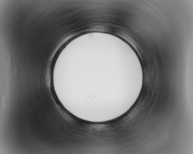 X0000096161131200802151409