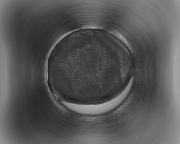 X0000096161132200802151409