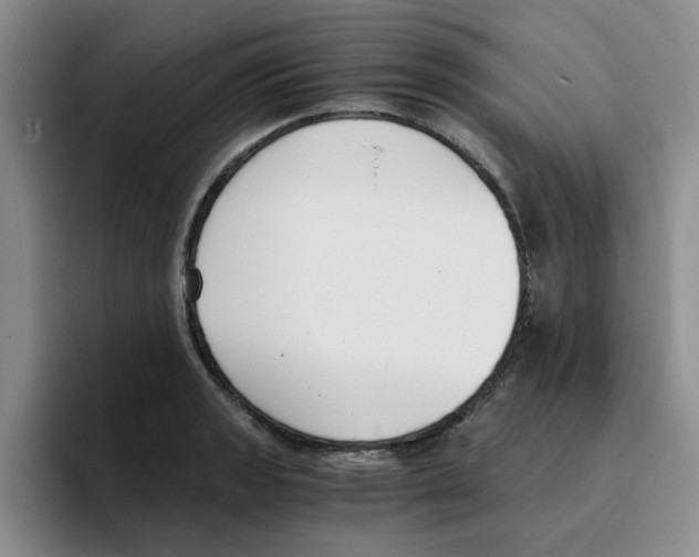 X0000096161133200802151409