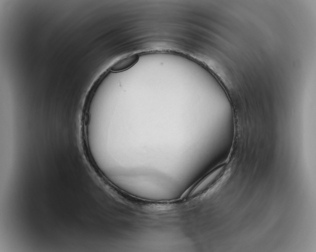 X0000096161134200802151409