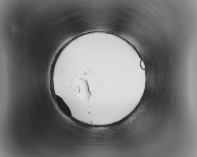 X0000096161135200802151409