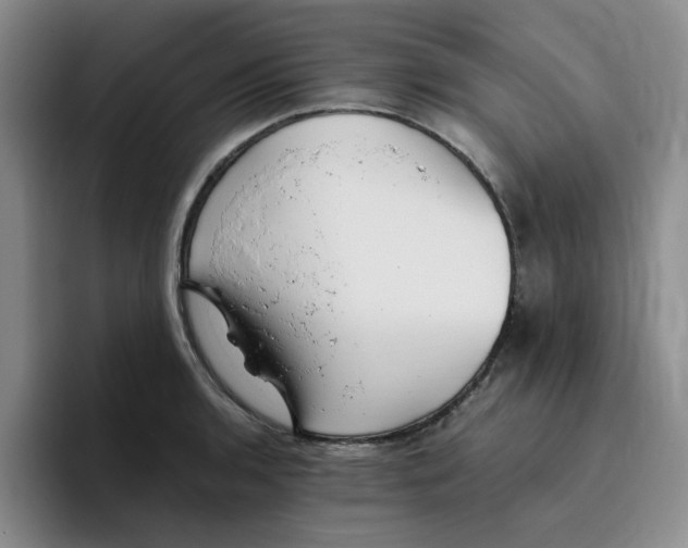 X0000096161136200802151409