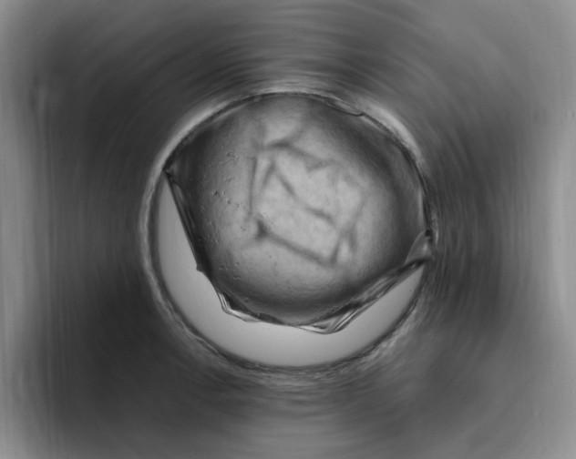 X0000096161138200802151409