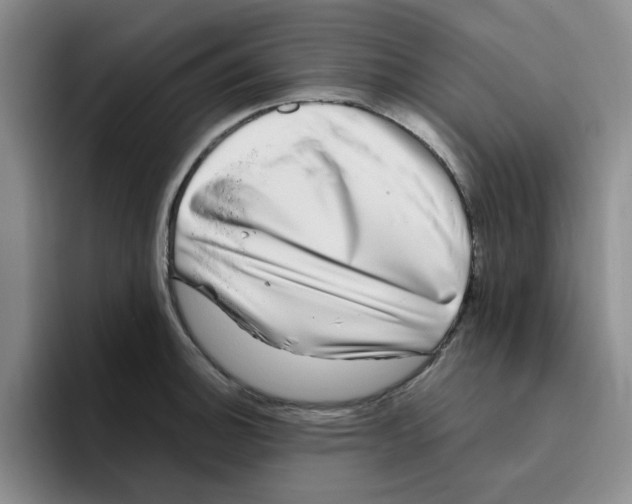 X0000096161140200802151409