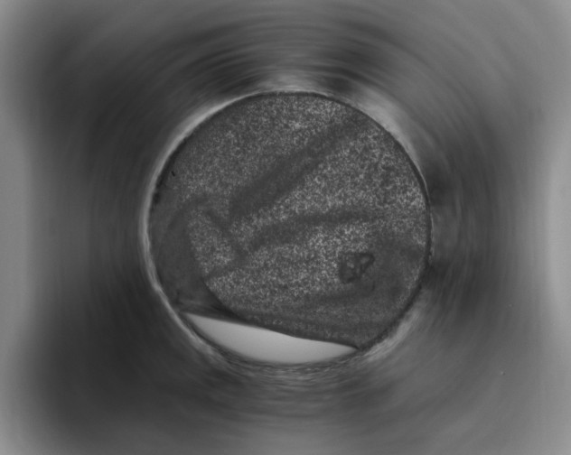 X0000096161141200802151409